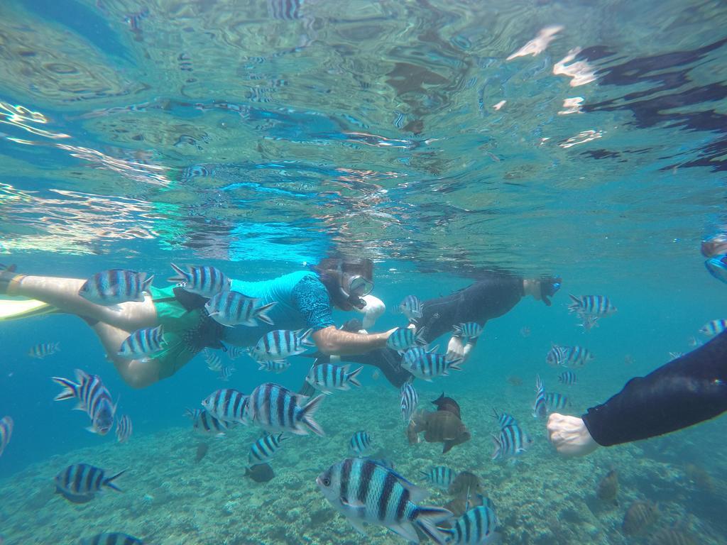 Tropical Surf House Okinawa Hotell Onna Exteriör bild